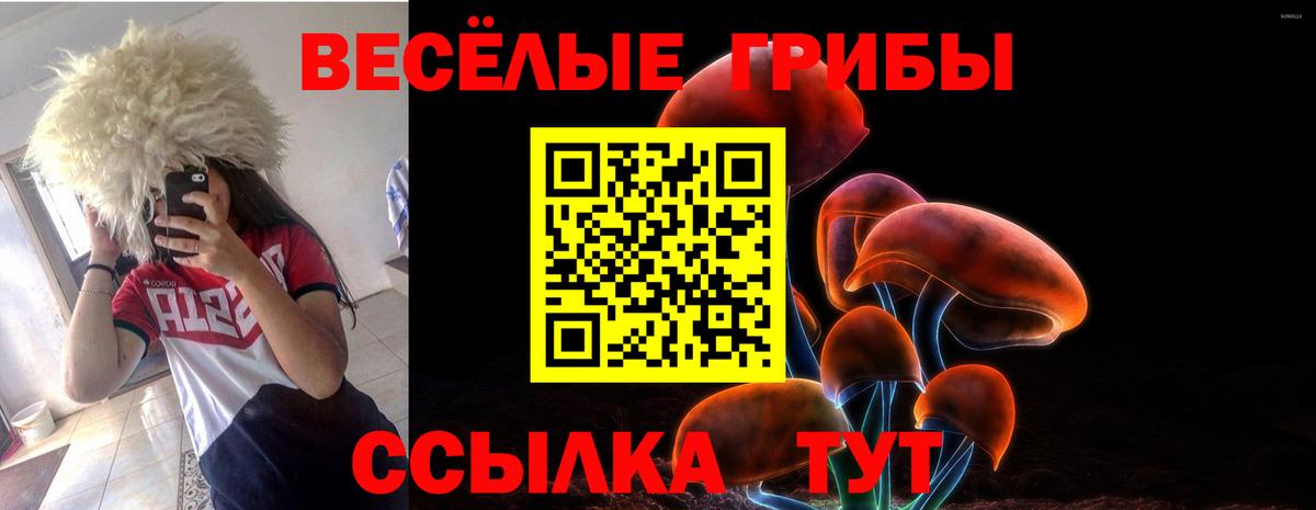 Псилоцибиновые грибы MAGIC MUSHROOMS  Галлюциногенные грибы Psilocybe  Каменск-Шахтинский  Вход с VPN 